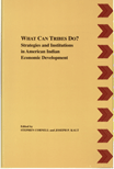 What Can Tribes Do?